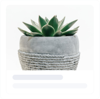Create Ecommerce store In Simple 4 Steps